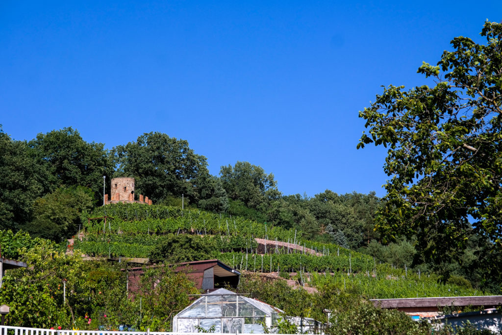 Der Wartturm in Weinböhla