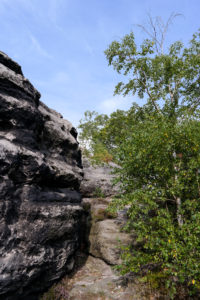 Auf dem Winterstein