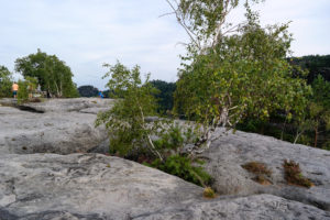 Auf dem Winterstein