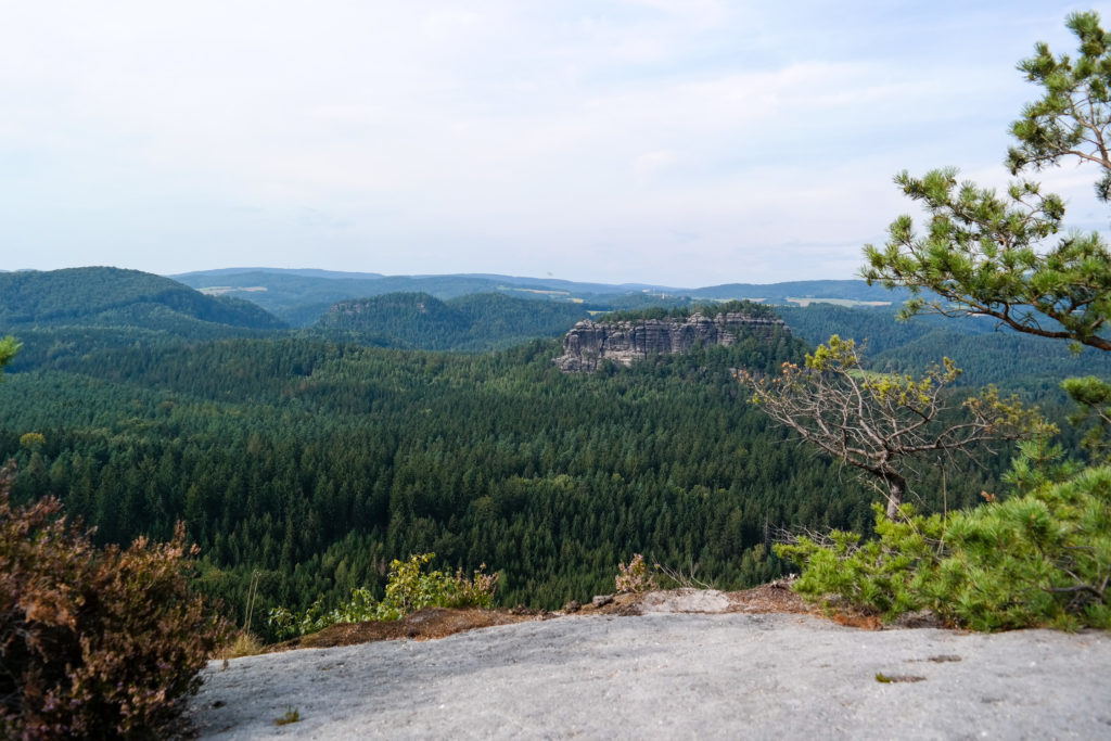 Blick vom Winterstein
