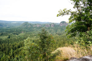 Blick vom Winterstein