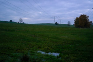 Felder bei Bischofswerda