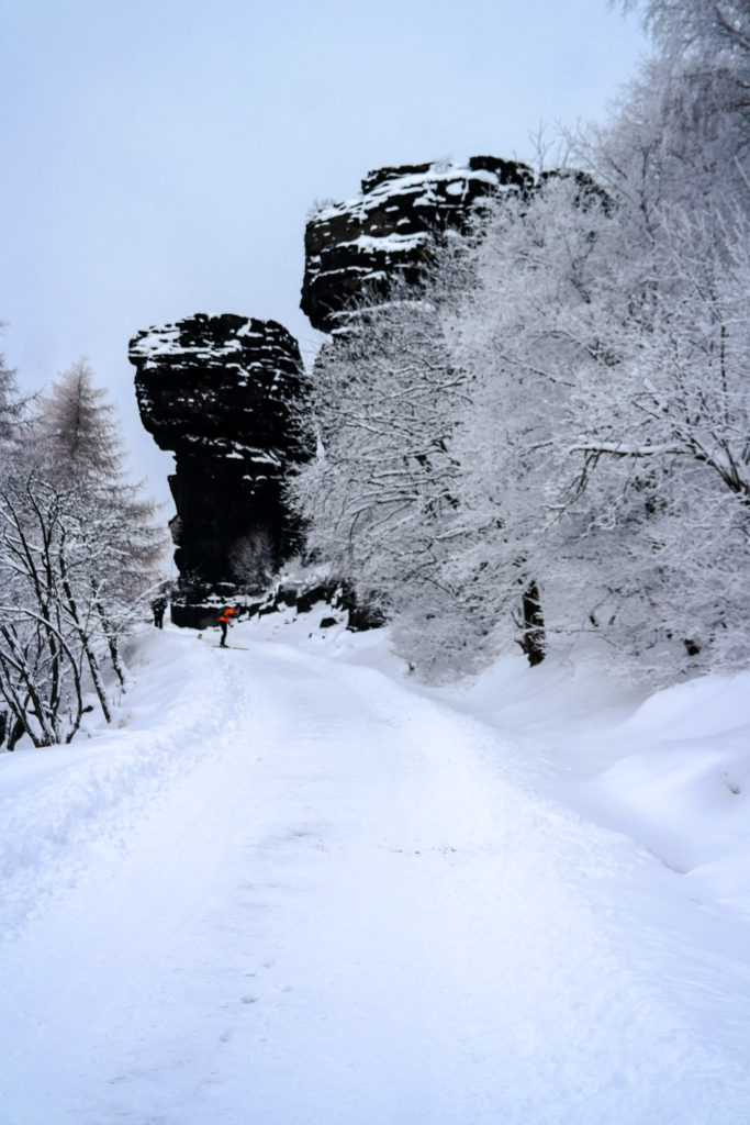 Felsformation auf dem Hohen Schneeberg