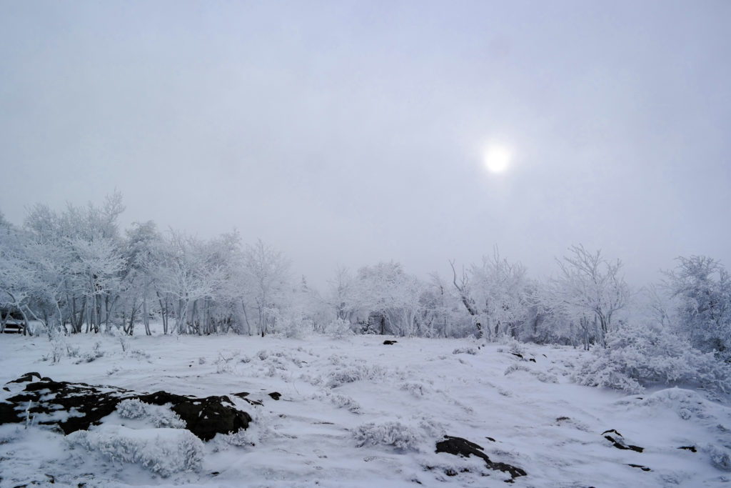 Winterzauber auf dem Hohen Schneeberg