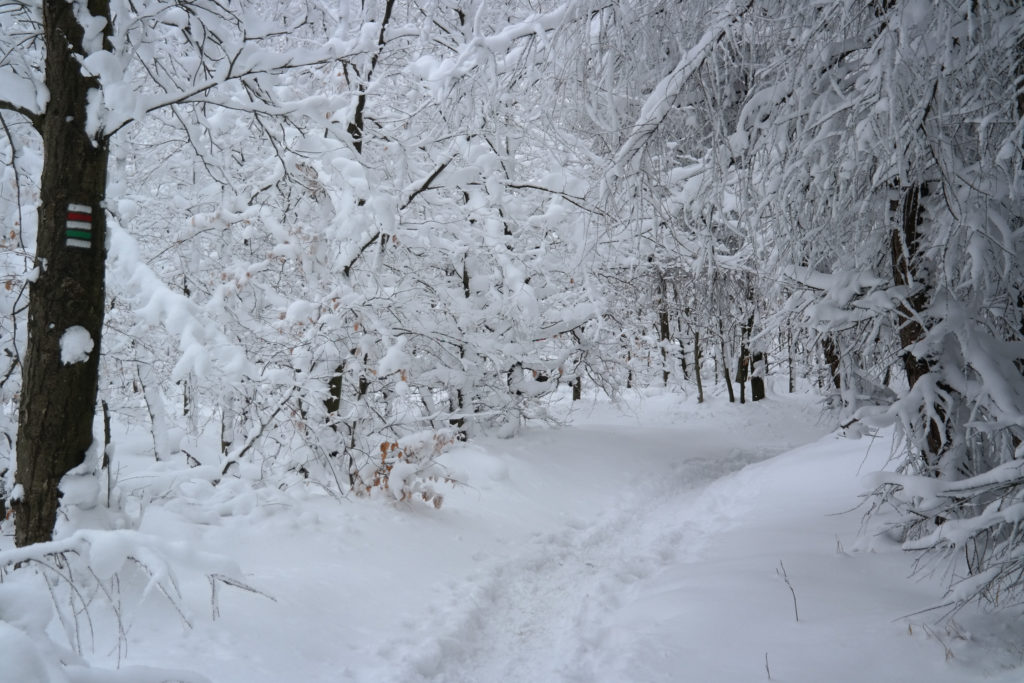 Winterzauber auf dem Hohen Schneeberg
