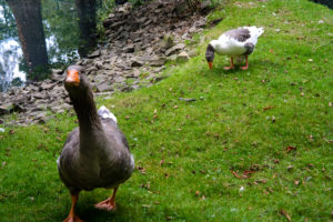 Was willst du denn?