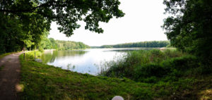 Kirchteich im Wermsdorfer Forst