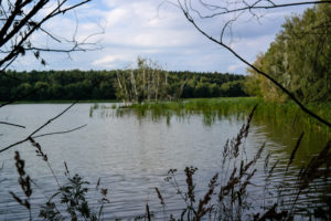 Blick auf die Drei Teiche