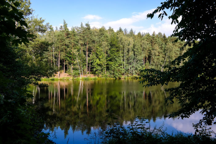 Blick auf die Drei Teiche im Wermsdorfer Forst