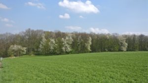 Radtour in die Spargründe bei Dohna