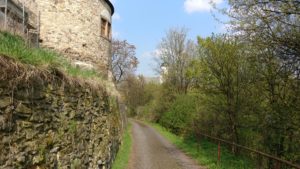 Burg in Dohna