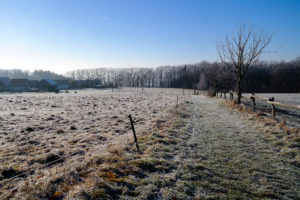 Blick auf Waitzdorf