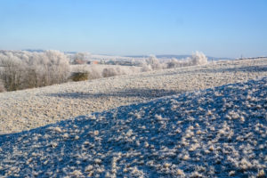 Winterwanderung zur Napoleonschanze bei Hohnstein