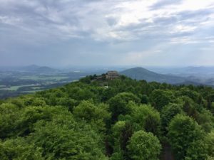 Blick vom Hochwaldturm; Foto: Jonas Bley