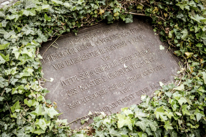 Cronschwitz Grabstein in der Klosterruine