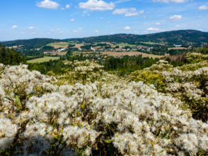 Blick auf Cunewalde und den Czorneboh
