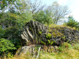 Basaltsäulenformation auf dem Bubenik