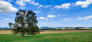 Wunderschöne Oberlausitz