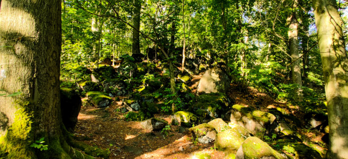 Der Geldkeller auf dem Löbauer Berg