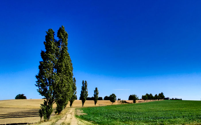 Ein bisschen Toskana in der Oberlausitz