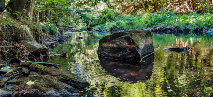 Das Löbauer Wasser