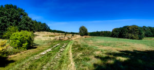 Auf dem Weg zum Rotsteingipfel