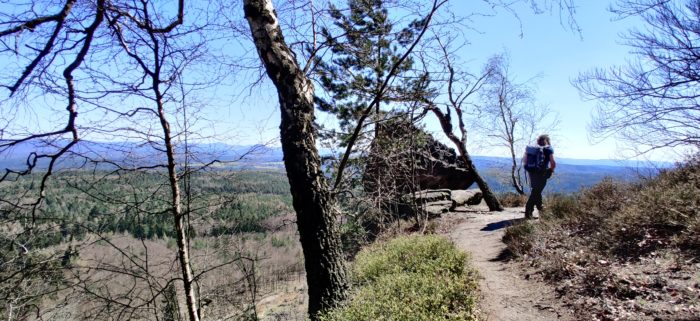 Auf dem Weg hinauf auf den Großen Zschirnstein