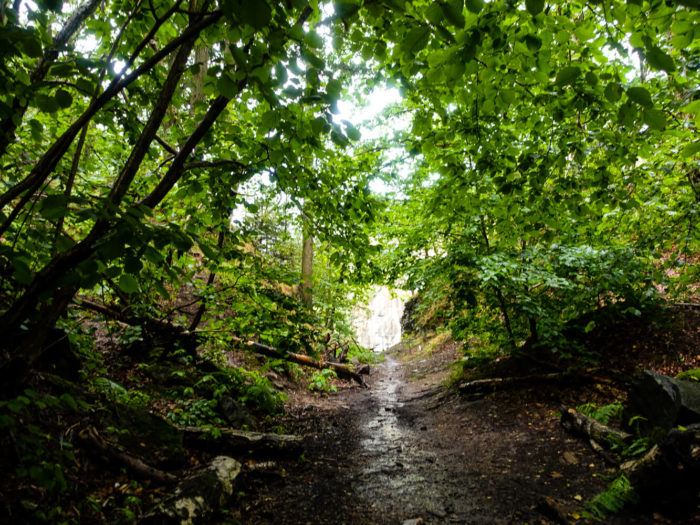 Weg in den Steinbruch