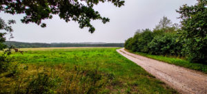 Fast am Ziel. Blick zurück auf die Königshainer Berge.