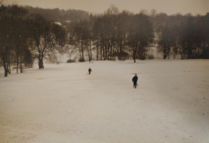 Rodeln im Stadtpark Plauen
